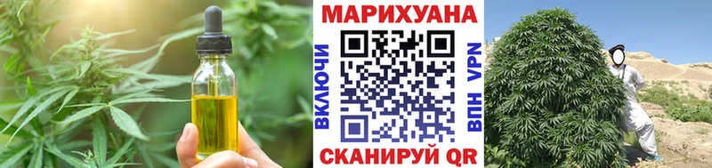 MEGA онион  продажа наркотиков  Туран  Cannafood конопля 