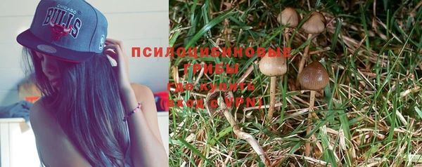 ПСИЛОЦИБИНОВЫЕ ГРИБЫ Лиски