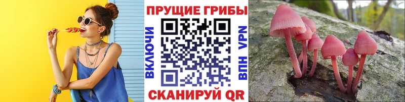 Псилоцибиновые грибы Magic Shrooms  сколько стоит  Туран 